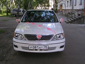 Машина с госномером р081ат